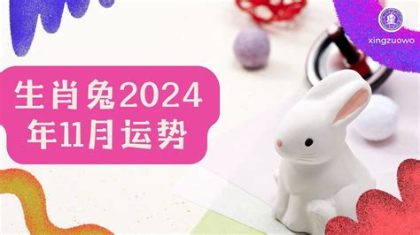 兔2024年运程|生肖兔2024年运程 生肖兔2024年每月运势大全